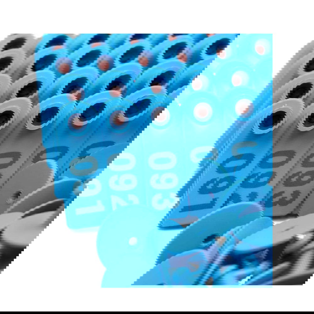 1-100 Cattle Number Ear Tags Set 5x2cm - Blue Small Cow Sheep Pig Livestock Label - Next Deals AU