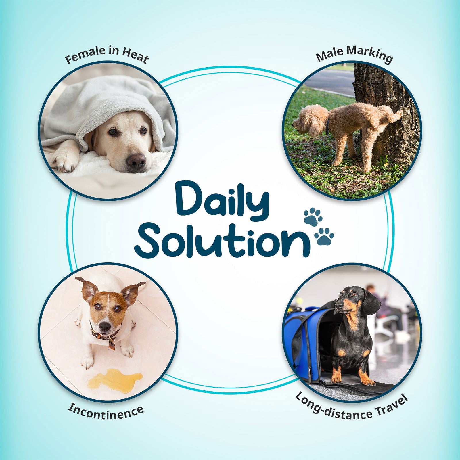 100X Pet Dog Diaper Liners Booster Pads Disposable Adhesive Travel S - Next Deals AU