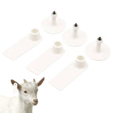100x Cattle Ear Tags 5x2cm Set - Mini White Blank Pig Goat Livestock Label - Next Deals AU