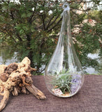 10 Pack of Hanging Clear Glass Tealight Candle Holder Tear Drop Pear Hour Glass Shape - 20cm High Terrarium Plant Mini Garden Holder Decoration Craft Gift - Next Deals AU