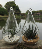 10 Pack of Hanging Clear Glass Tealight Candle Holder Tear Drop Pear Hour Glass Shape - 20cm High Terrarium Plant Mini Garden Holder Decoration Craft Gift - Next Deals AU