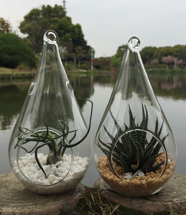 10 Pack of Hanging Clear Glass Tealight Candle Holder Tear Drop Pear Shape - 12cm High - Terrarium Plant Mini Garden Holder Decor - Next Deals AU