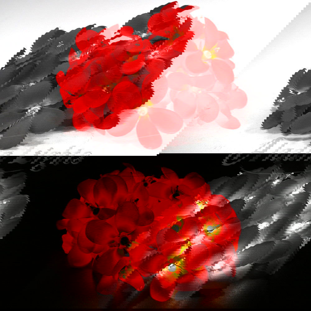 1 Set of 20 LED Deep Red Frangipani Flower Battery String Lights Christmas Gift Home Wedding Party Decoration Outdoor Table Garland Wreath - Next Deals AU