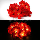 1 Set of 20 LED Deep Red Frangipani Flower Battery String Lights Christmas Gift Home Wedding Party Decoration Outdoor Table Garland Wreath - Next Deals AU