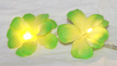 1 Set of 20 LED Green Frangipani Flower Battery String Lights Christmas Gift Home Wedding Party Decoration Outdoor Table Garland Wreath - Next Deals AU