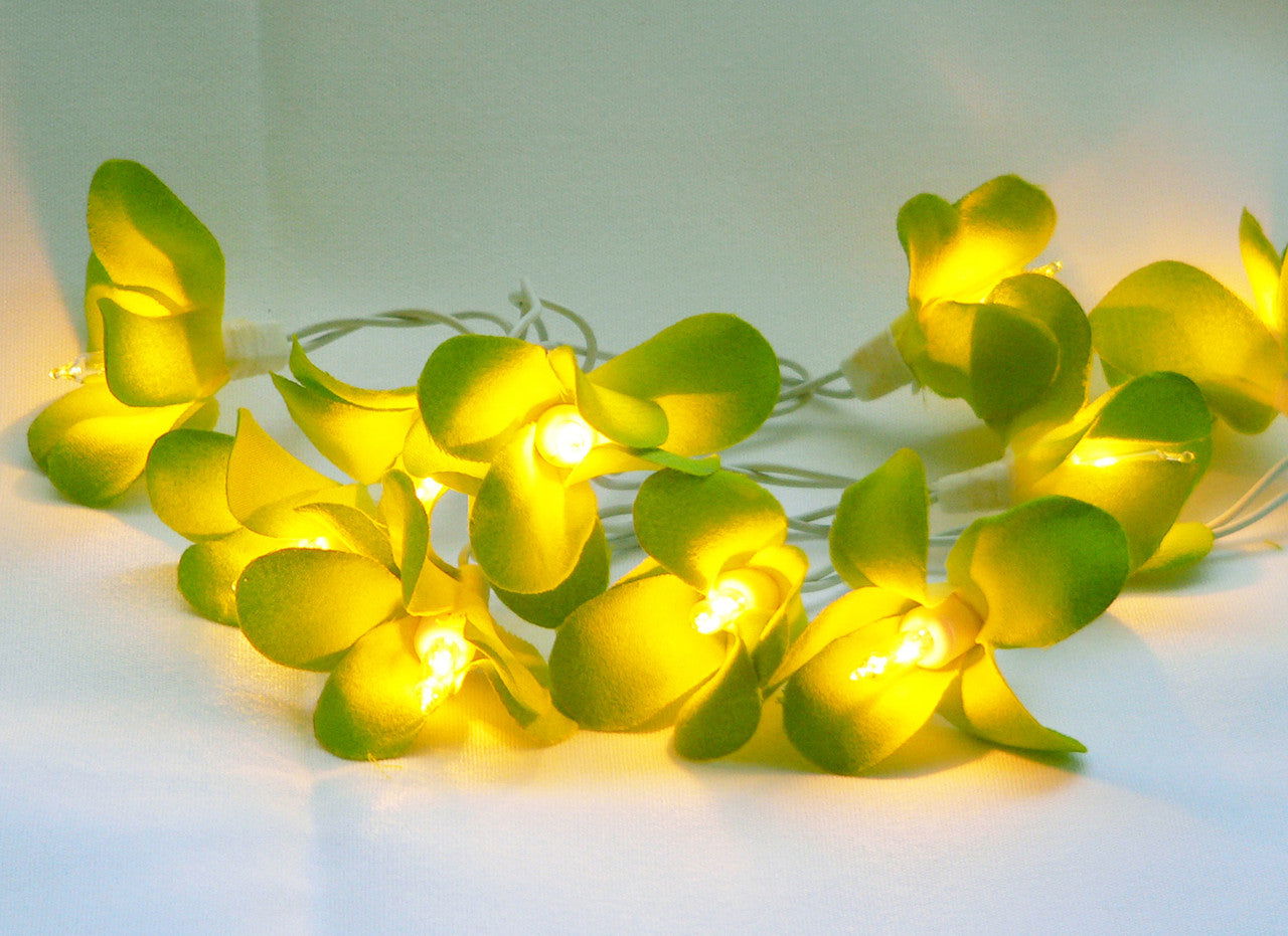 1 Set of 20 LED Green Frangipani Flower Battery String Lights Christmas Gift Home Wedding Party Decoration Outdoor Table Garland Wreath - Next Deals AU