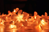 1 Set of 20 LED Orange Frangipani Flower Battery String Lights Christmas Gift Home Wedding Party Decoration Outdoor Table Garland Wreath - Next Deals AU
