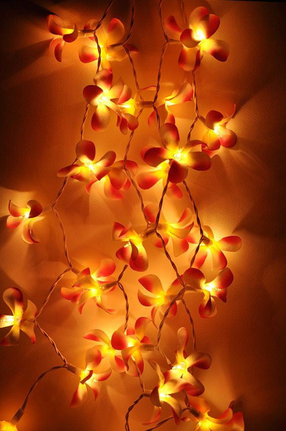 1 Set of 20 LED Orange Frangipani Flower Battery String Lights Christmas Gift Home Wedding Party Decoration Outdoor Table Garland Wreath - Next Deals AU