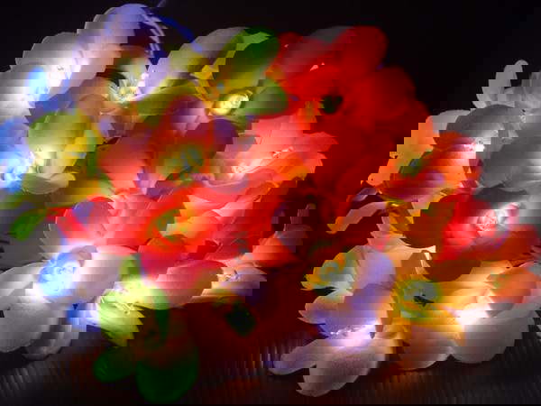 1 Set of 20 LED Tropical Bright Colous Frangipani Flower Battery String Lights Christmas Gift Home Wedding Party Decoration Outdoor Table Centrepiece - Next Deals AU