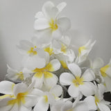 1 Set of 20 LED White Frangipani Flower Battery String Lights Christmas Gift Home Wedding Beach Party Decoration Outdoor Table Centrepiece - Next Deals AU