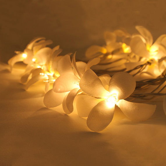 1 Set of 20 LED White Frangipani Flower Battery String Lights Christmas Gift Home Wedding Beach Party Decoration Outdoor Table Centrepiece - Next Deals AU