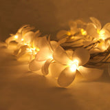 1 Set of 20 LED White Frangipani Flower Battery String Lights Christmas Gift Home Wedding Beach Party Decoration Outdoor Table Centrepiece - Next Deals AU