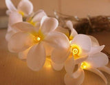 1 Set of 20 LED White Frangipani Flower Battery String Lights Christmas Gift Home Wedding Beach Party Decoration Outdoor Table Centrepiece - Next Deals AU