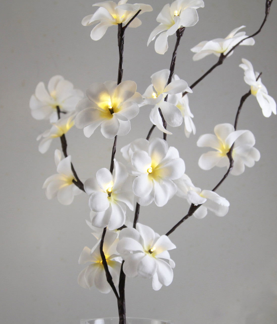 1 Set of 50cm H 20 LED White Frangipani Tree Branch Stem Fairy Light Wedding Event Party Function Table Vase Centrepiece Decoration - Next Deals AU