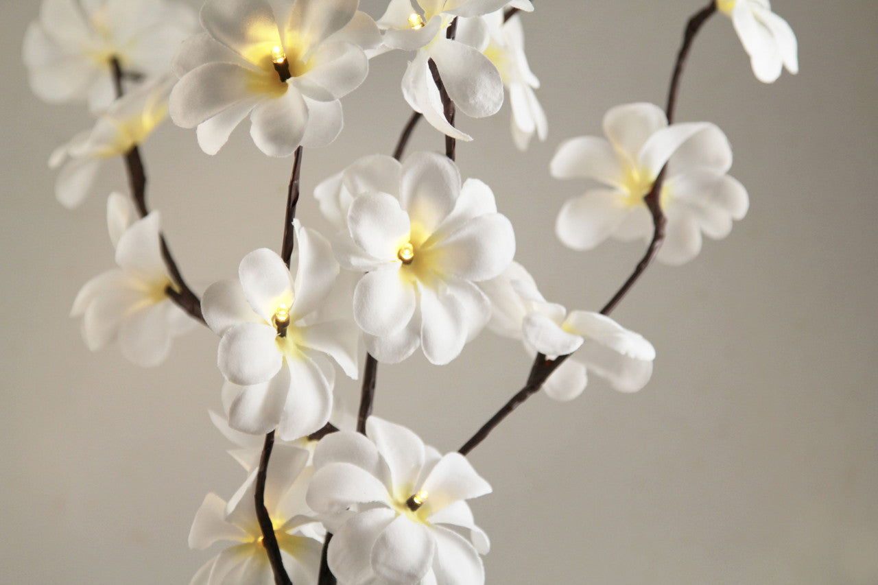 1 Set of 50cm H 20 LED White Frangipani Tree Branch Stem Fairy Light Wedding Event Party Function Table Vase Centrepiece Decoration - Next Deals AU