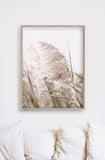 Wall Art 60cmx90cm Pampas Grass 2 Sets Wood Frame Canvas