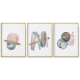 Wall Art 60cmx90cm Blush Pink Watercolor 3 Sets Gold Frame Canvas