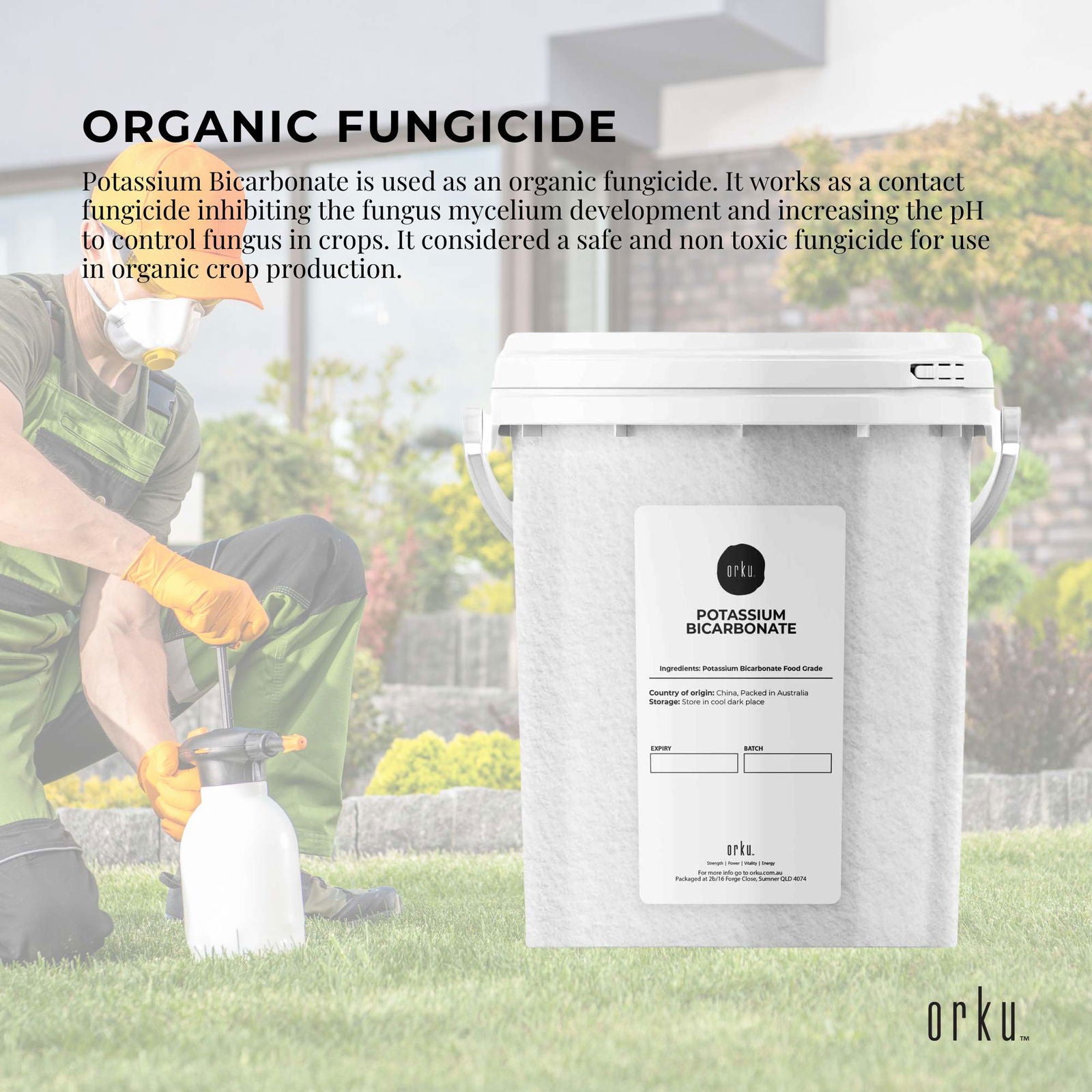 1.3Kg Organic Potassium Bicarbonate Powder Tub Food Grade FCC for Brewing Baking - Next Deals AU