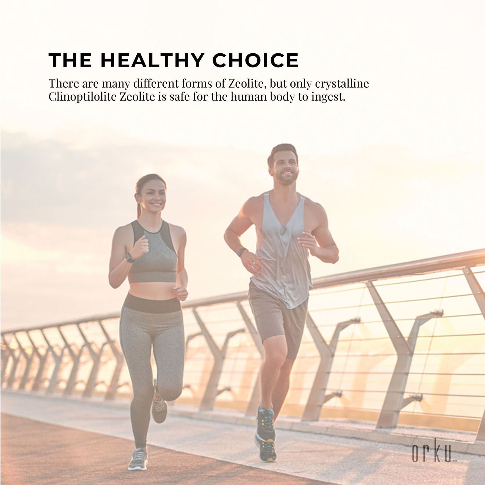 1.3kg Pure Micronised Zeolite Powder Tub Mineral - Micronized Volcamin - Next Deals AU