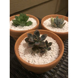 100L Perlite Organic Super Coarse Premium Soil Expanded Medium Plants Hydroponic - Next Deals AU
