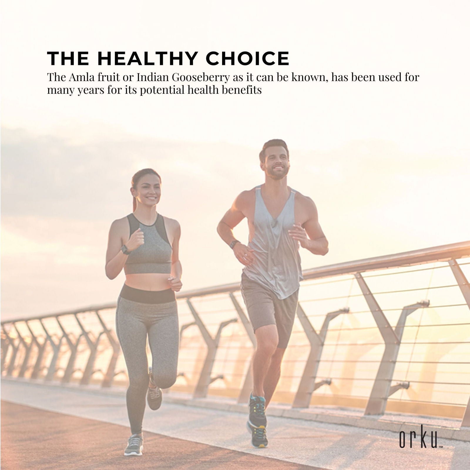 100g Organic Amla Powder Indian Gooseberry Emblica Officinalis Fruit Supplement - Next Deals AU