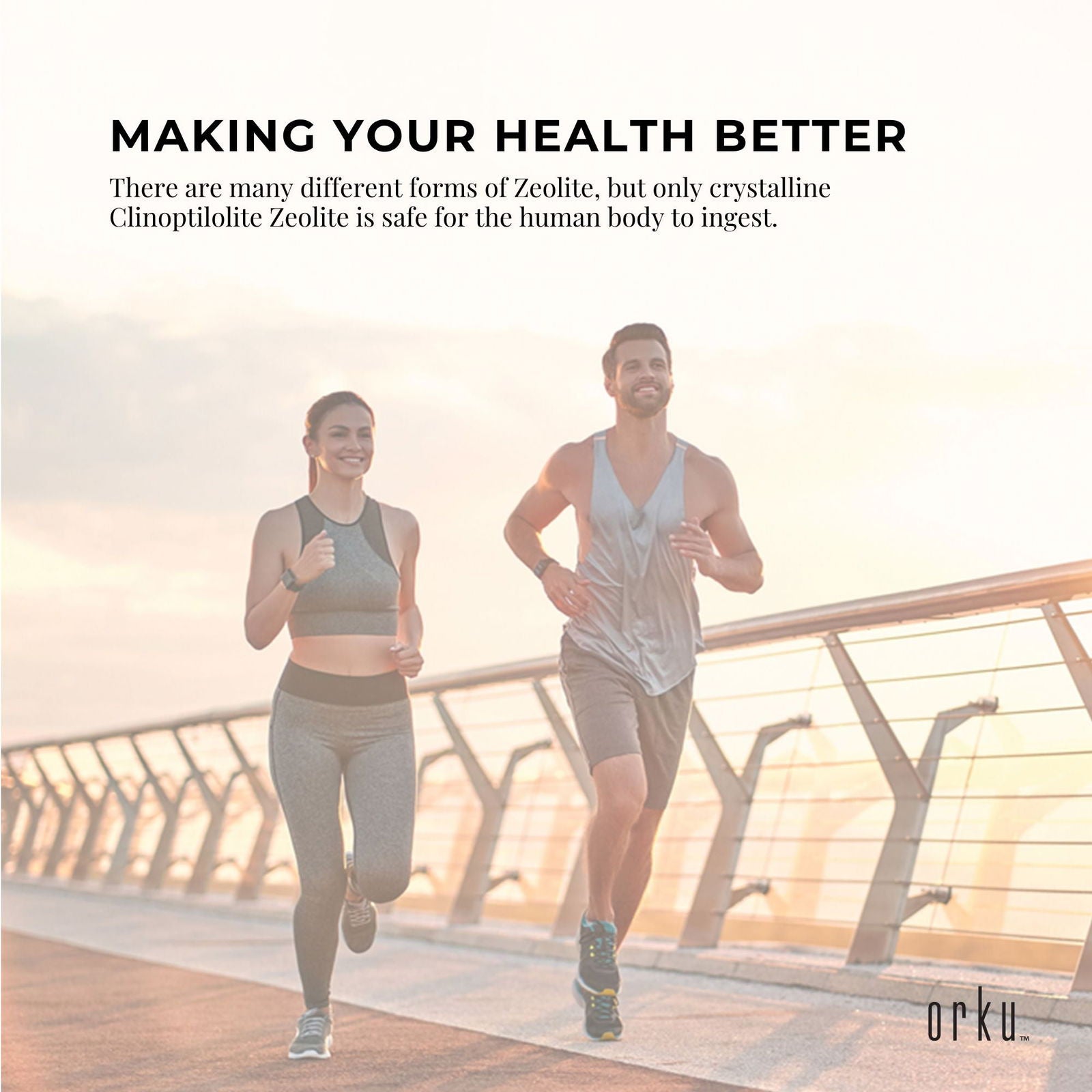 10Kg Pure Micronised Zeolite Powder Mineral - Micronized Volcamin - Next Deals AU