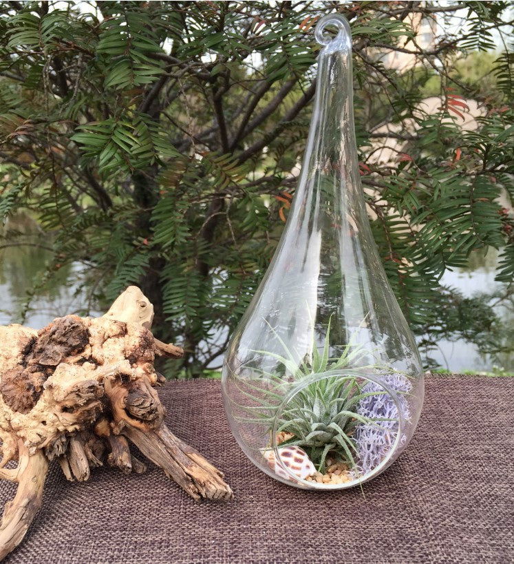 10 Pack of Hanging Clear Glass Tealight Candle Holder Tear Drop Pear Hour Glass Shape - 20cm High Terrarium Plant Mini Garden Holder Decoration Craft Gift - Next Deals AU
