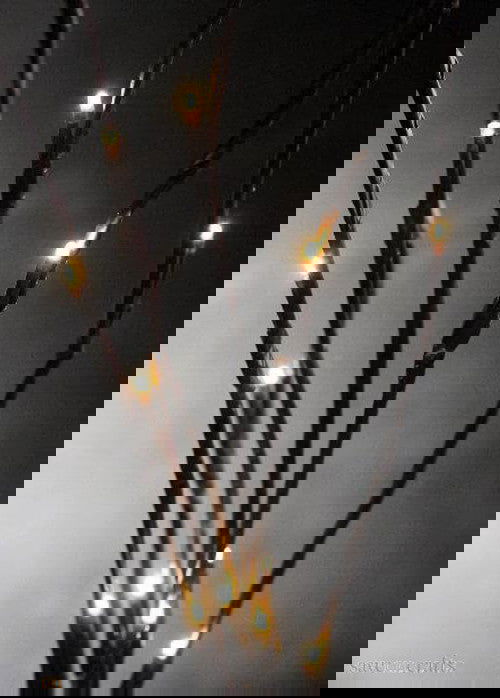 10 Sets of LED Light Bunch Stem - Warm White BATTERY fairy lights - 50cm high 20 bulbs/petals - Next Deals AU