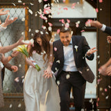 10g Organic Dried Red Rose Petals - Wedding Confetti Rosa Centifolia Flower - Next Deals AU