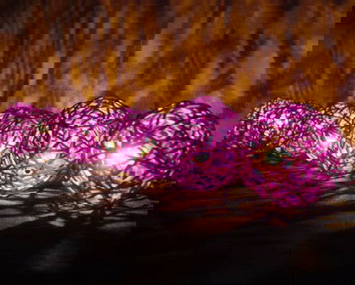 1 Set of 20 LED Cassis Purple 5cm Rattan Cane Ball Battery Powered String Lights Christmas Gift Home Wedding Party Bedroom Decoration Table Centrepiece - Next Deals AU