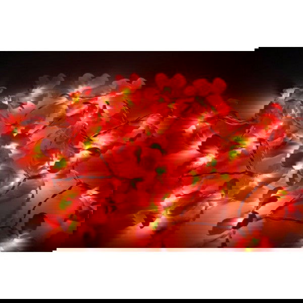 1 Set of 20 LED Deep Red Frangipani Flower Battery String Lights Christmas Gift Home Wedding Party Decoration Outdoor Table Garland Wreath - Next Deals AU