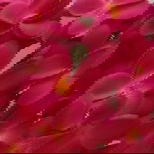 1 Set of 20 LED Deep Red Frangipani Flower Battery String Lights Christmas Gift Home Wedding Party Decoration Outdoor Table Garland Wreath - Next Deals AU