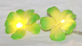 1 Set of 20 LED Green Frangipani Flower Battery String Lights Christmas Gift Home Wedding Party Decoration Outdoor Table Garland Wreath - Next Deals AU
