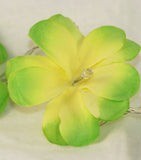 1 Set of 20 LED Green Frangipani Flower Battery String Lights Christmas Gift Home Wedding Party Decoration Outdoor Table Garland Wreath - Next Deals AU