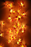 1 Set of 20 LED Orange Frangipani Flower Battery String Lights Christmas Gift Home Wedding Party Decoration Outdoor Table Garland Wreath - Next Deals AU