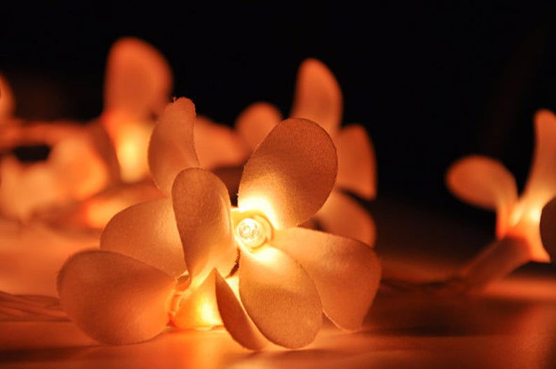 1 Set of 20 LED Orange Frangipani Flower Battery String Lights Christmas Gift Home Wedding Party Decoration Outdoor Table Garland Wreath - Next Deals AU
