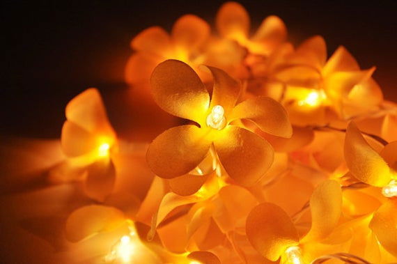 1 Set of 20 LED Orange Frangipani Flower Battery String Lights Christmas Gift Home Wedding Party Decoration Outdoor Table Garland Wreath - Next Deals AU