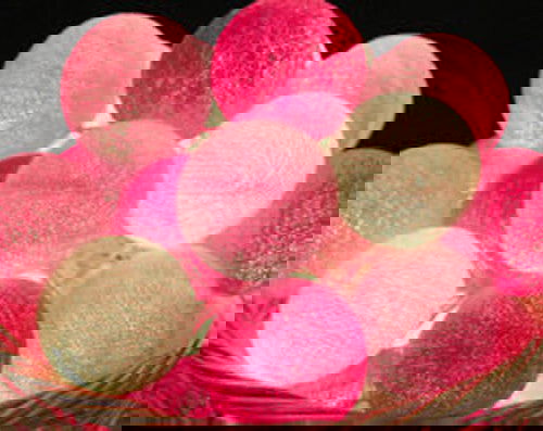 1 Set of 20 LED Pink 5cm Cotton Ball Battery Powered String Lights Christmas Gift Home Wedding Party Girl Bedroom Decoration Outdoor Indoor Table - Next Deals AU