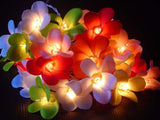 1 Set of 20 LED Tropical Bright Colous Frangipani Flower Battery String Lights Christmas Gift Home Wedding Party Decoration Outdoor Table Centrepiece - Next Deals AU