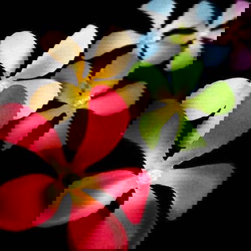 1 Set of 20 LED Tropical Bright Colous Frangipani Flower Battery String Lights Christmas Gift Home Wedding Party Decoration Outdoor Table Centrepiece - Next Deals AU