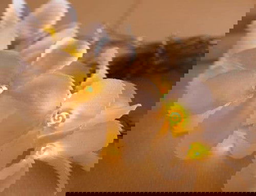 1 Set of 20 LED White Frangipani Flower Battery String Lights Christmas Gift Home Wedding Beach Party Decoration Outdoor Table Centrepiece - Next Deals AU