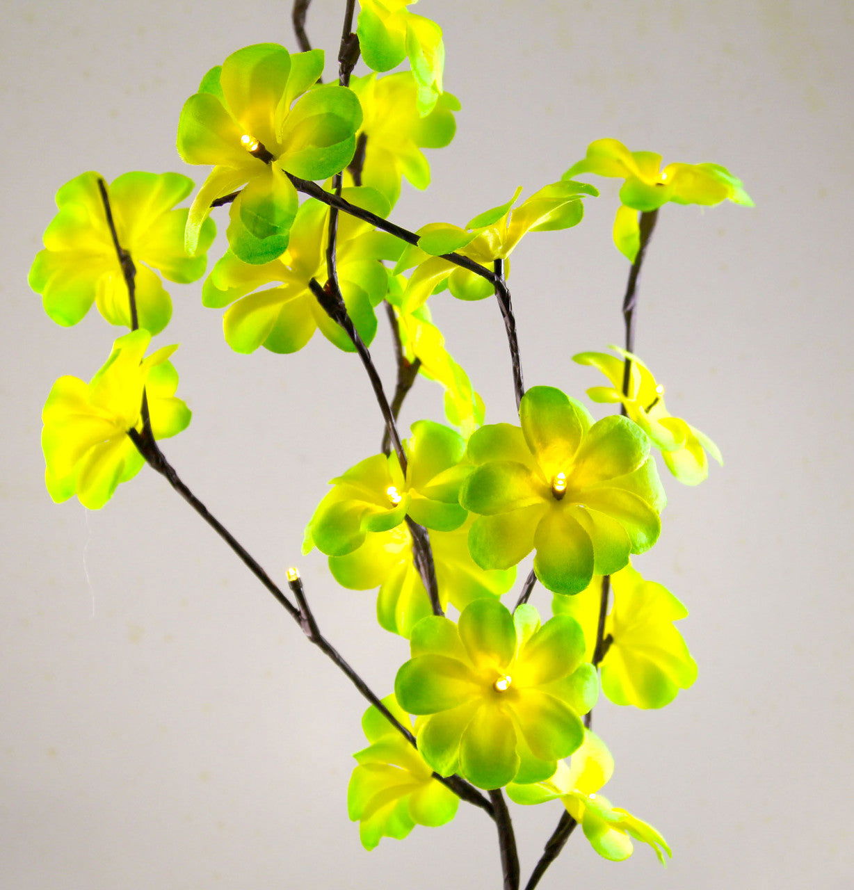 1 Set of 50cm H 20 LED Green Frangipani Tree Branch Stem Fairy Light Wedding Event Party Function Table Vase Centrepiece Tropical Decoration - Next Deals AU