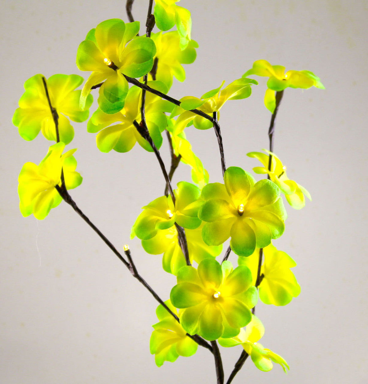 1 Set of 50cm H 20 LED Green Frangipani Tree Branch Stem Fairy Light Wedding Event Party Function Table Vase Centrepiece Tropical Decoration - Next Deals AU