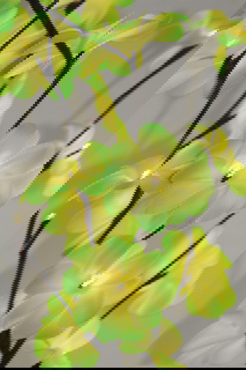 1 Set of 50cm H 20 LED Green Frangipani Tree Branch Stem Fairy Light Wedding Event Party Function Table Vase Centrepiece Tropical Decoration - Next Deals AU