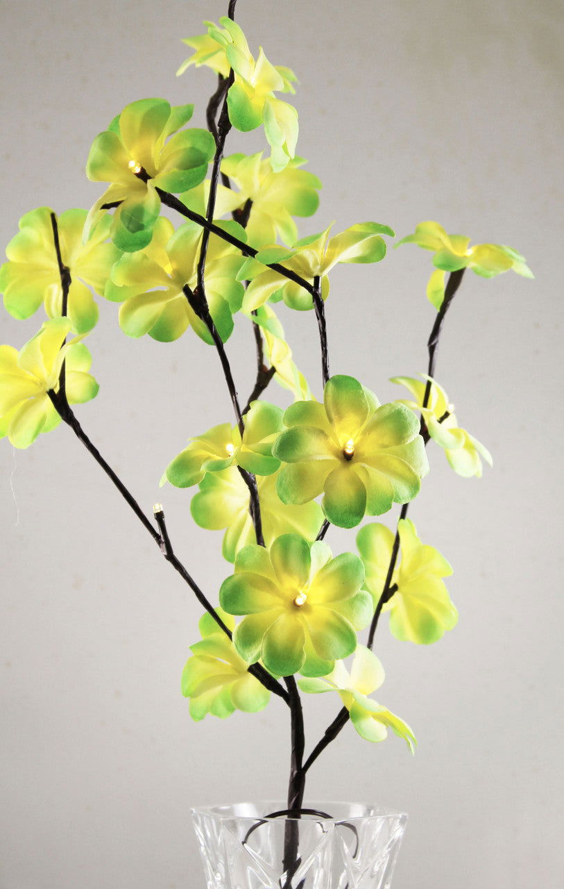 1 Set of 50cm H 20 LED Green Frangipani Tree Branch Stem Fairy Light Wedding Event Party Function Table Vase Centrepiece Tropical Decoration - Next Deals AU