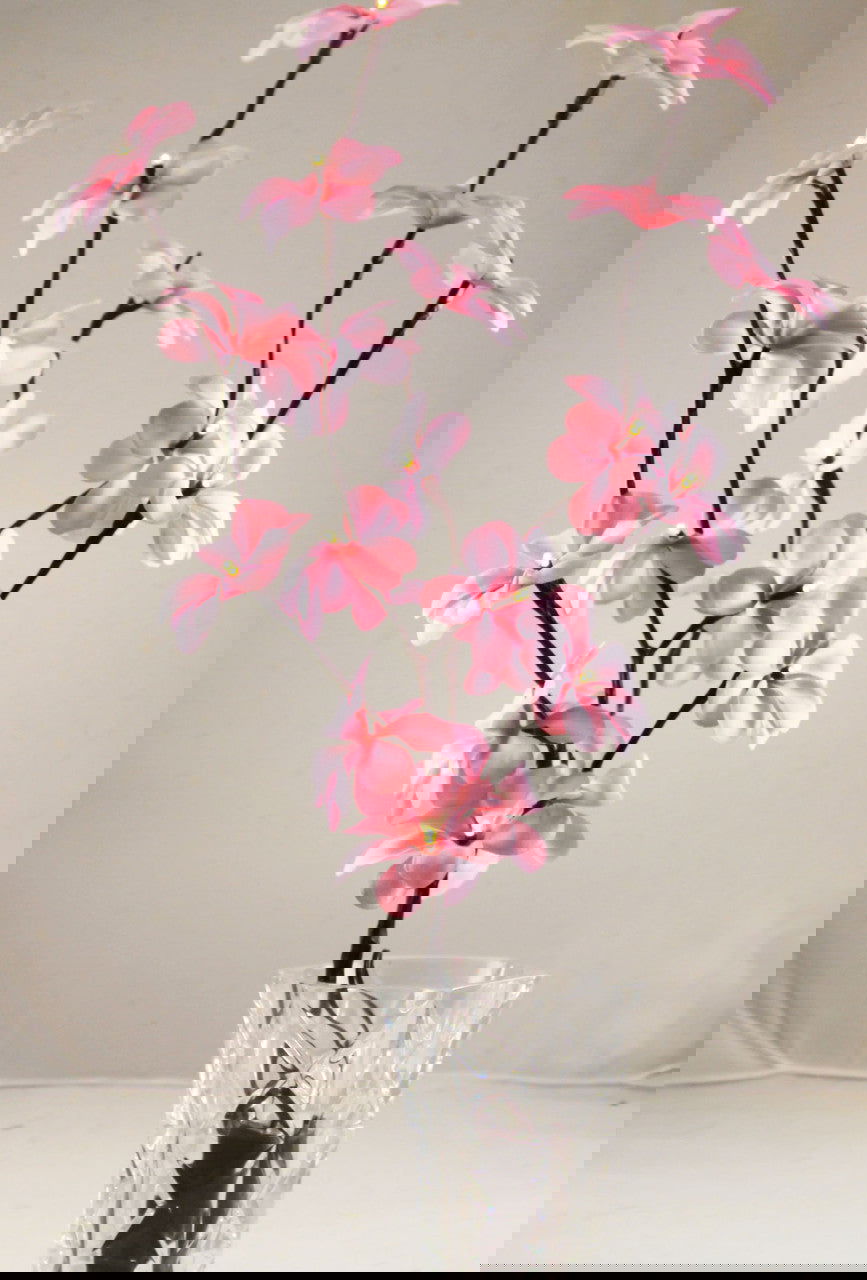 1 Set of 50cm H 20 LED Pink Frangipani Tree Branch Stem Fairy Light Wedding Event Party Function Table Vase Centrepiece Decoration Girl Bedroom - Next Deals AU