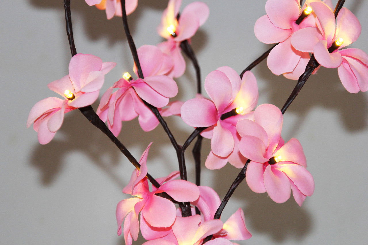 1 Set of 50cm H 20 LED Pink Frangipani Tree Branch Stem Fairy Light Wedding Event Party Function Table Vase Centrepiece Decoration Girl Bedroom - Next Deals AU