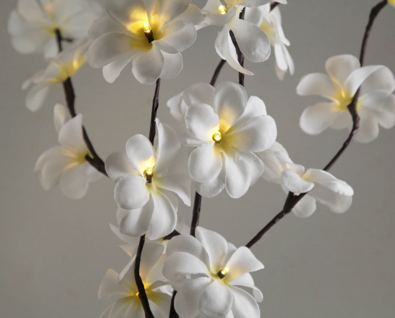 1 Set of 50cm H 20 LED White Frangipani Tree Branch Stem Fairy Light Wedding Event Party Function Table Vase Centrepiece Decoration - Next Deals AU