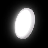 LED Ceiling Light Fixture, Natural Light, 9W