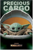 Star Wars: The Mandalorian - Precious Cargo